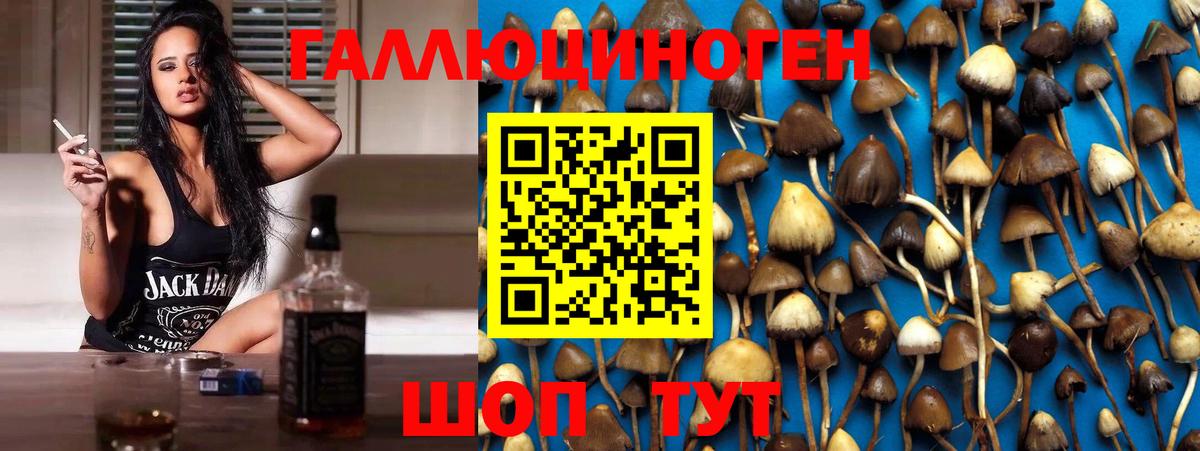 Галлюциногенные грибы Magic Shrooms Норильск